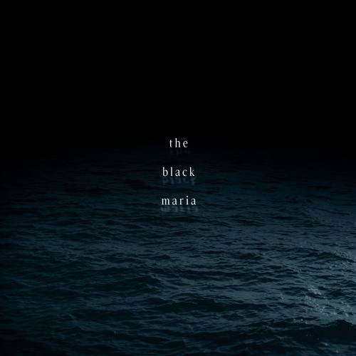 Poetry collection review titled Water, Water, Everywhere: Form in the black maria